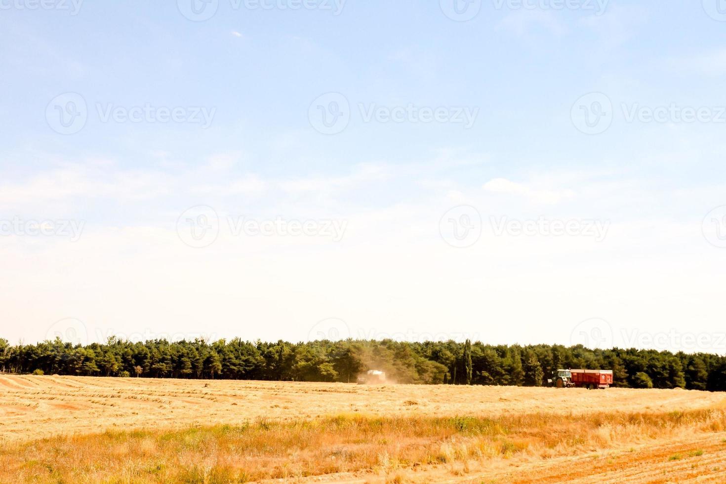 escénico rural paisaje foto