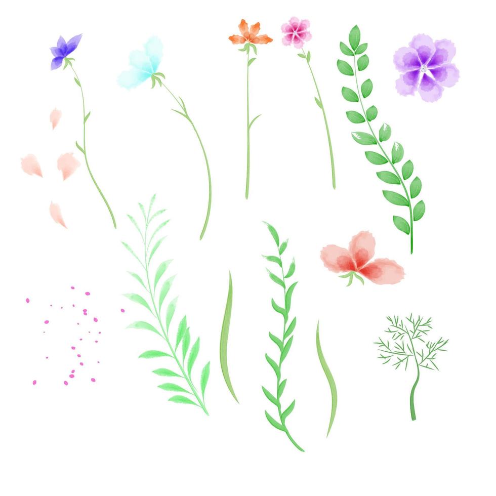 set of floral watercolor elements for design vector