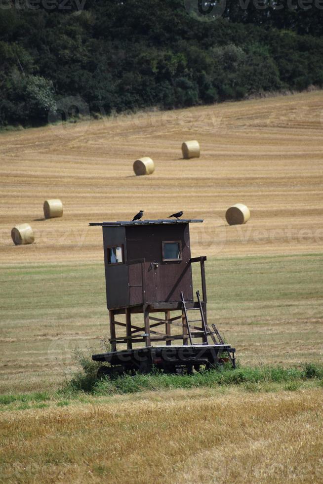 Ravens on a Hunting Hut Roof photo