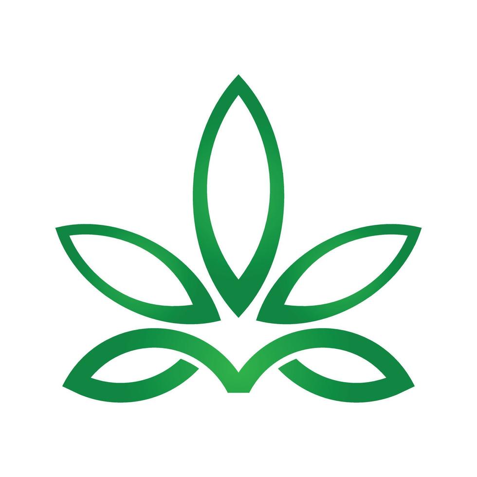 marijuana or cannabis leaf designed in graphic vector format.