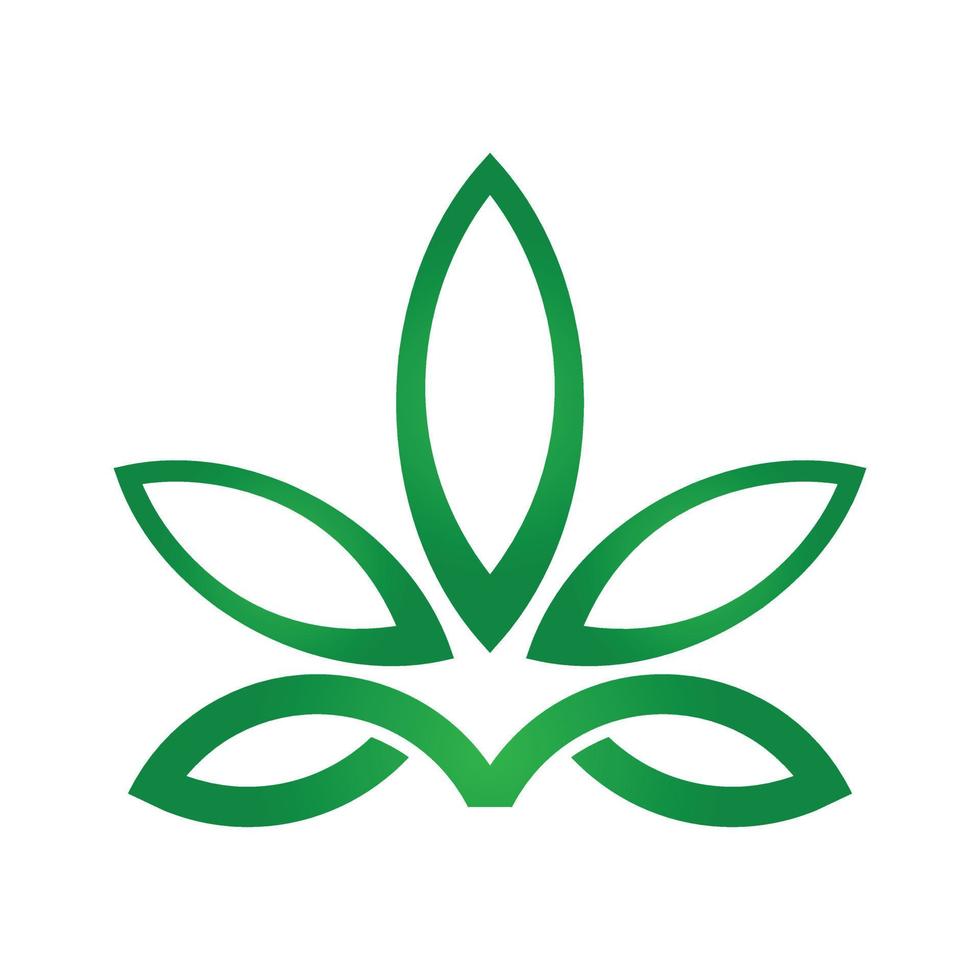 marijuana or cannabis leaf designed in graphic vector format.