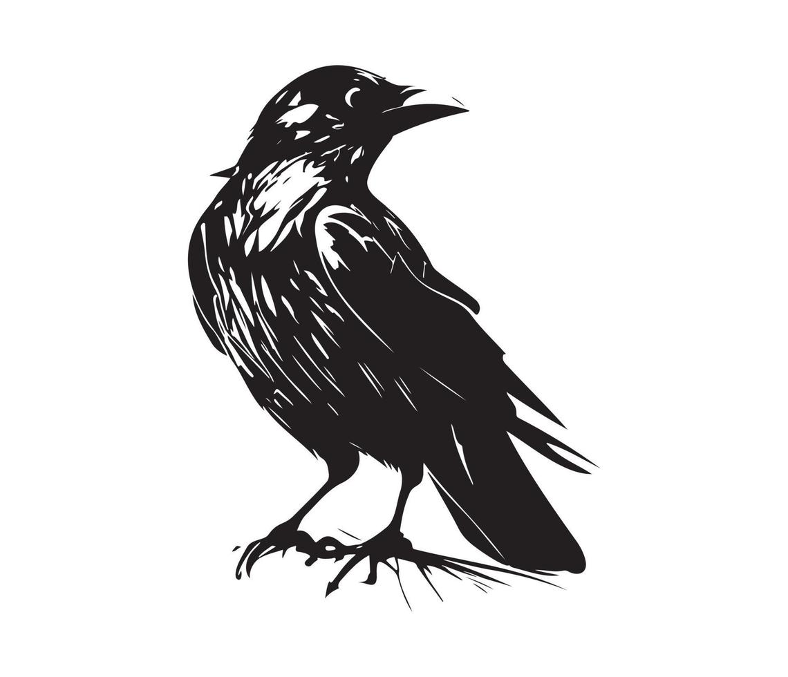 Black birds Raven, crow, rook or jackdaw. Vector illustration in retro style