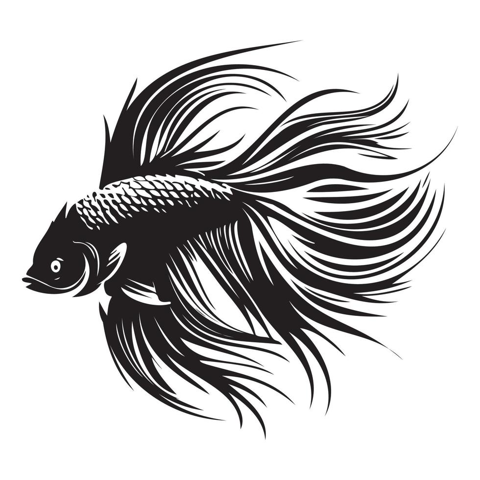 Betta fish vector illustration, fighting fish logo design