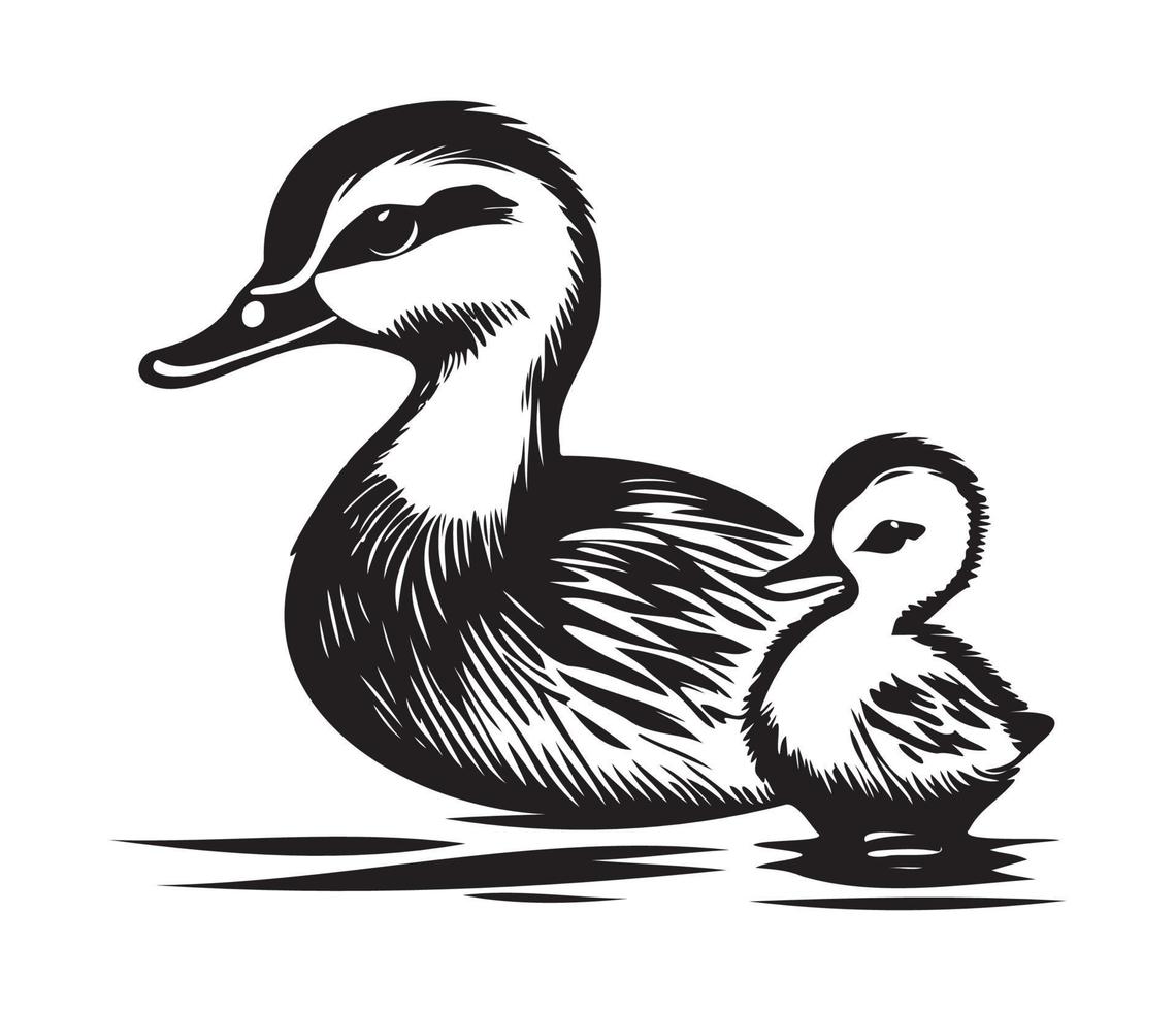 Duck With Duckling, Mom and baby duck, Duck swimming in the lake illustration vector