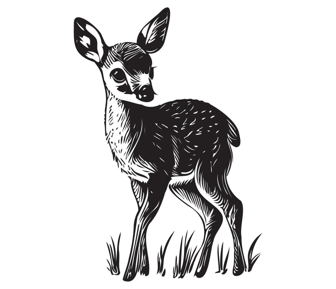 illustration of young deer, Baby deer icon Black and white vector