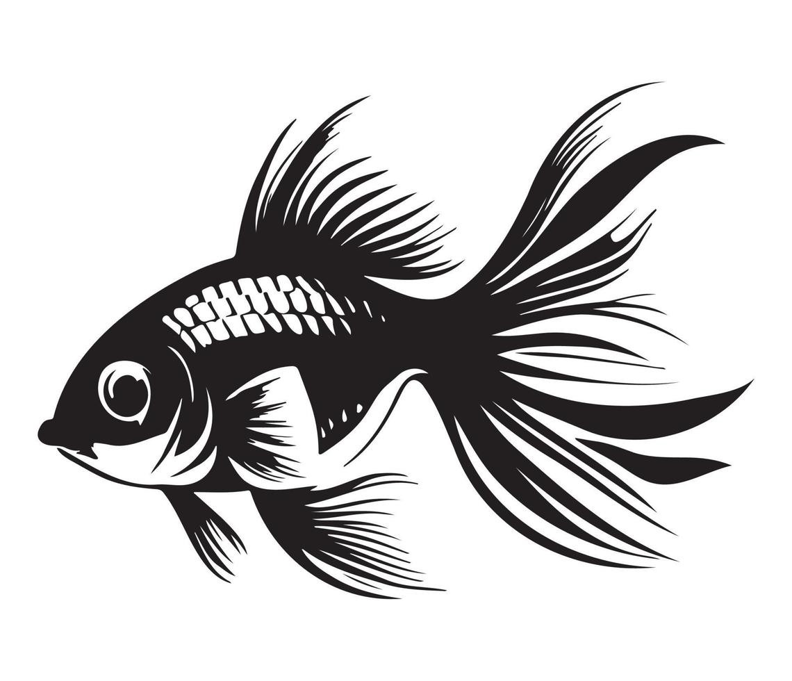 goldfish, golden fish Animal fish illustration black and white side view outline image vector