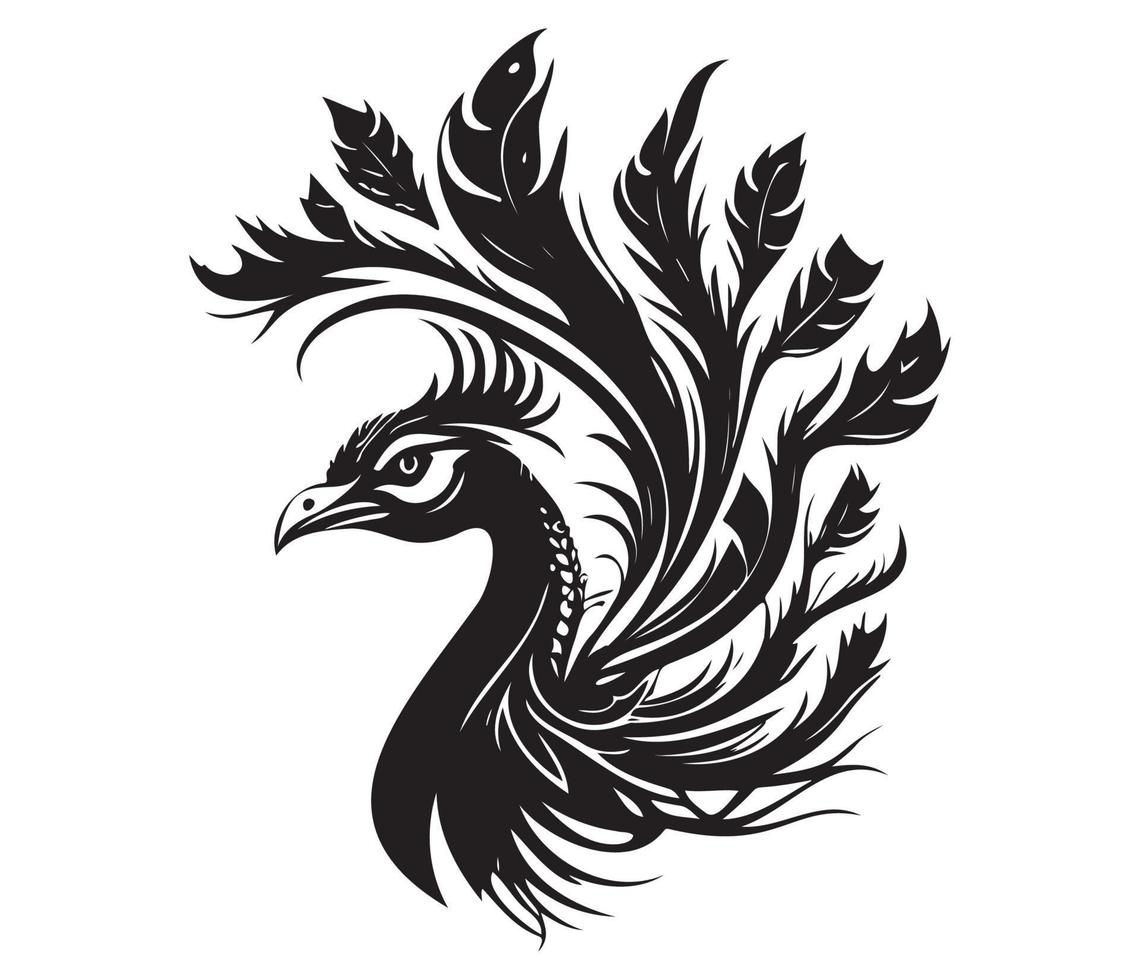Monochrome peacock. Animal bird vector illustration, peafowl art design
