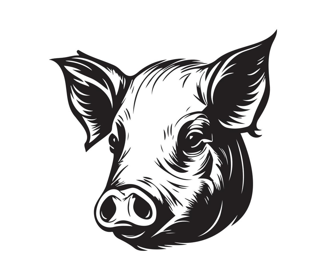 Pig Face, Silhouettes Pig Face, black and white Pig vector