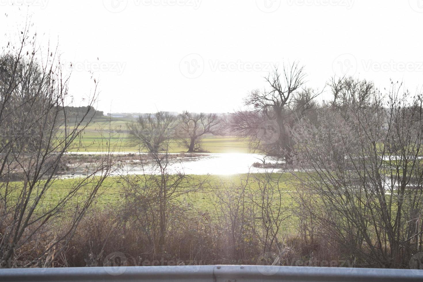 Low Sun on a swamp lake photo