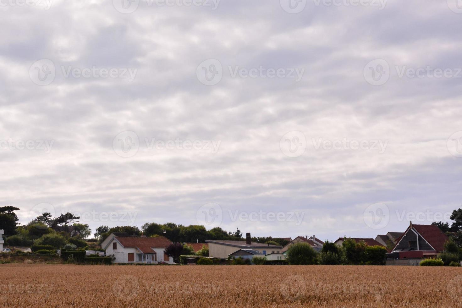 Scenic rural landscape photo