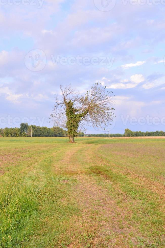 escénico rural paisaje foto