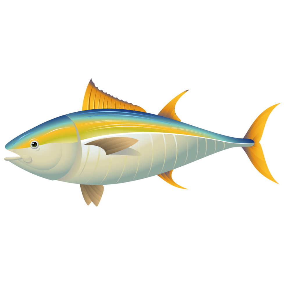 Cute Sea fish Cartoon png