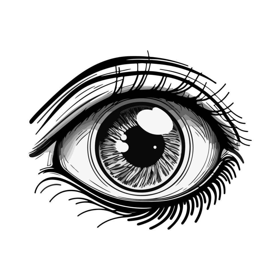 Mesmerizing female eye with long lashes. Close-up sketch vector illustration, ideal for beauty, cosmetics, and fashion designs.