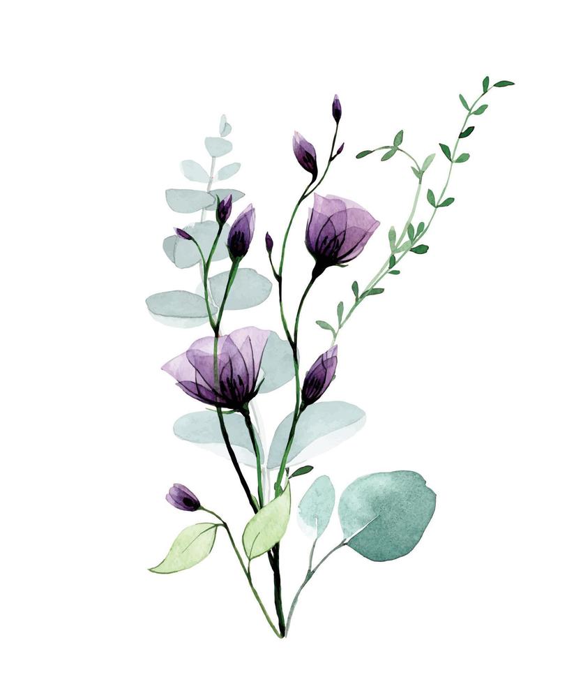 watercolor drawing. bouquet of transparent flowers and eucalyptus leaves. vector