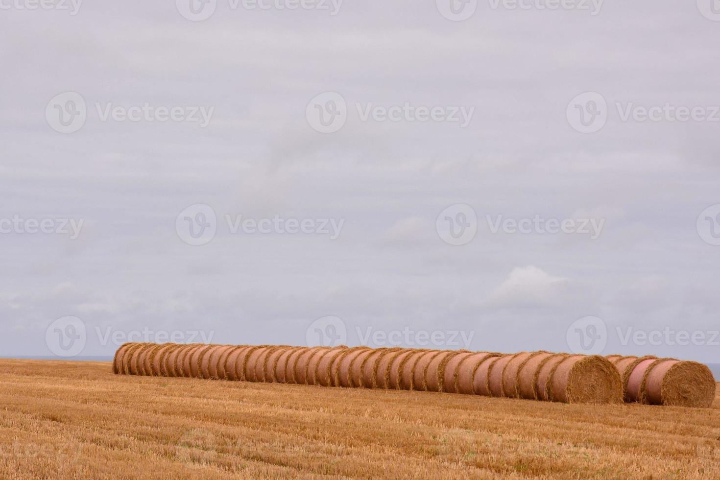 escénico rural paisaje foto