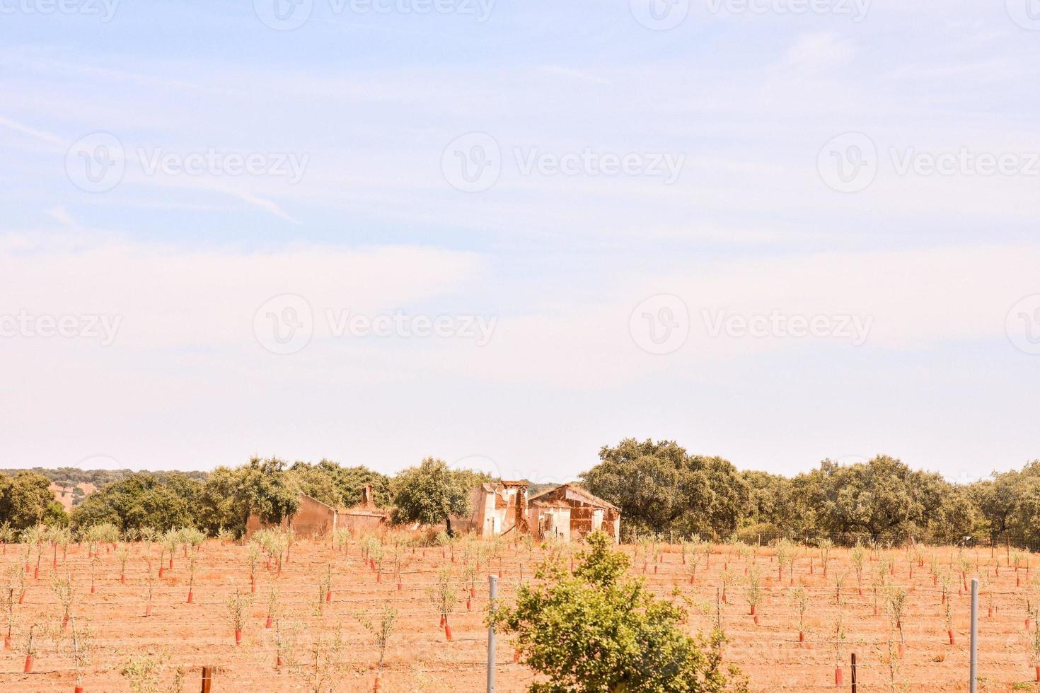 Scenic rural landscape photo