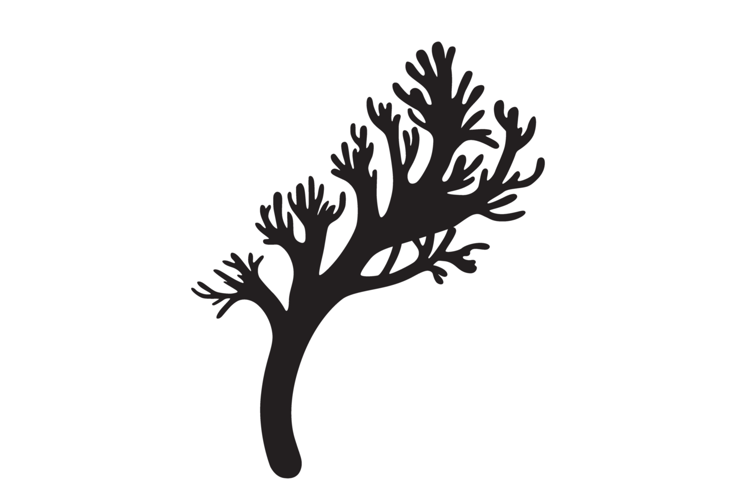 Modern object flower, food, work, silhouette, furniture and liftstyle png