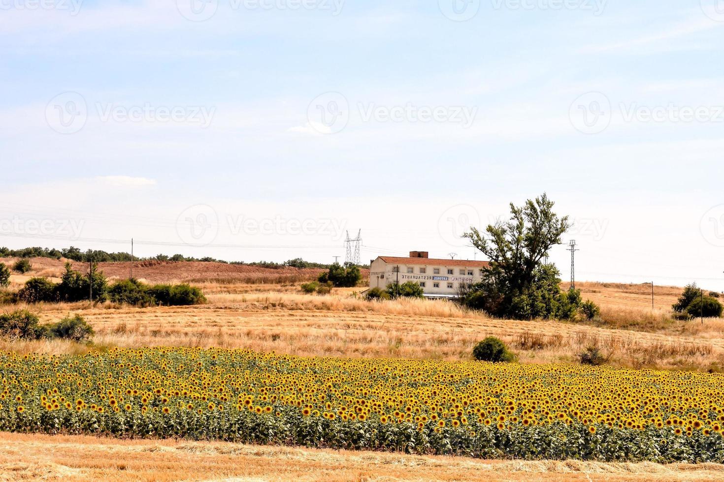 Scenic rural landscape photo