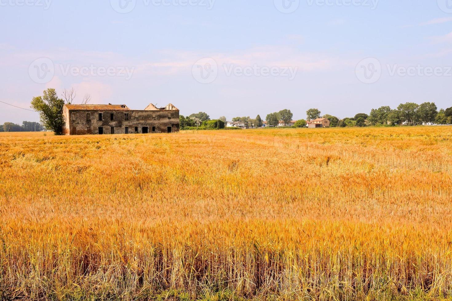 Scenic rural landscape photo