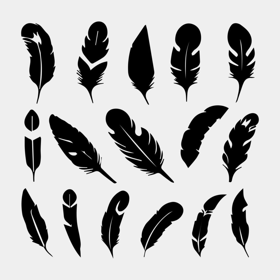 set of feathers vector design isolated on white