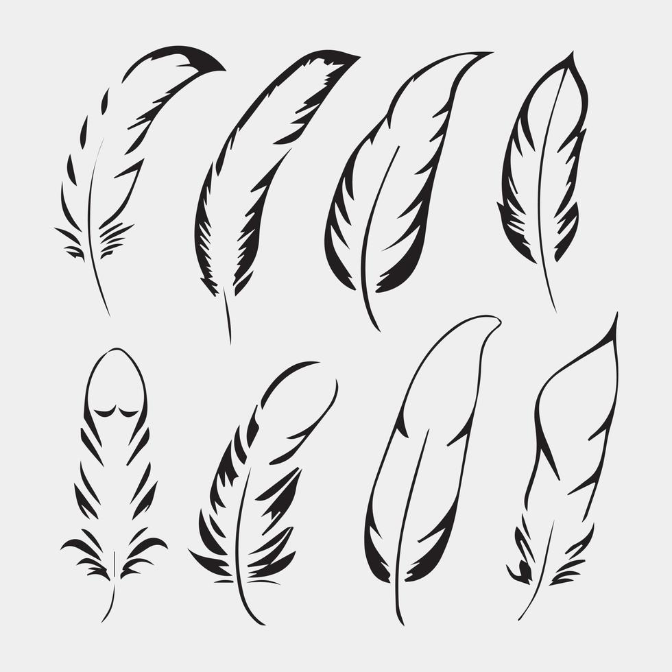 set of feathers vector design isolated on white