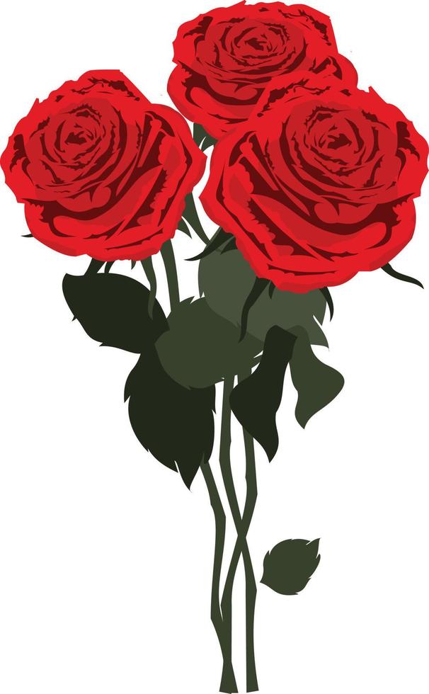 A bouquet of red roses with some green leaves vector