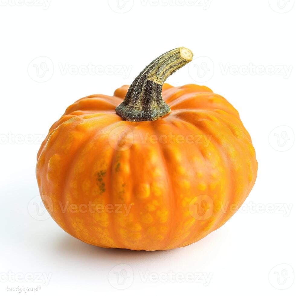 pumpkin isolated on white background. photo
