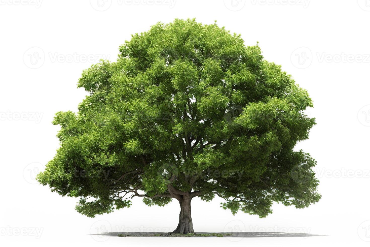 árbol aislado en blanco antecedentes. ai generado foto