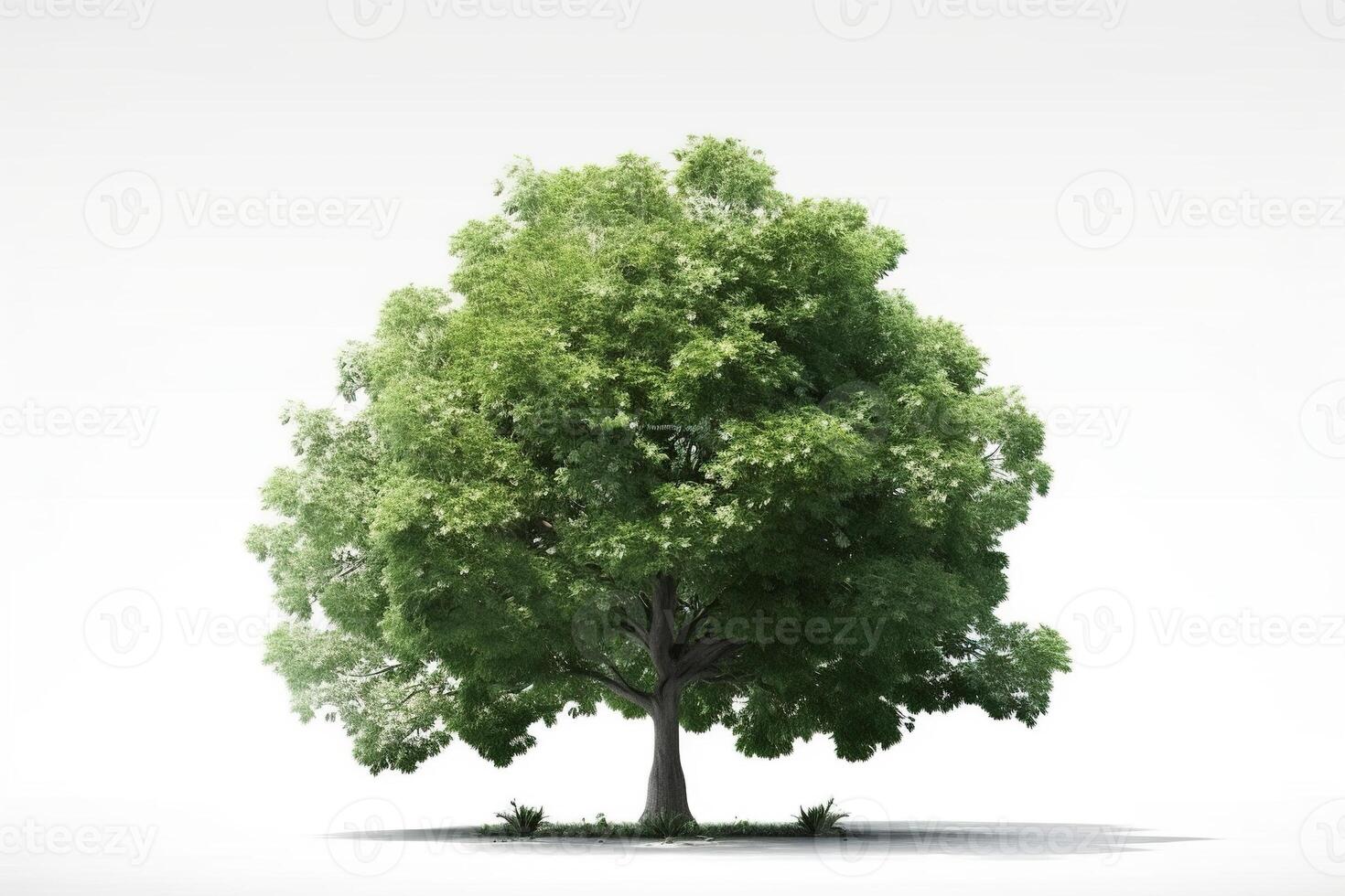 árbol aislado en blanco antecedentes. ai generado foto