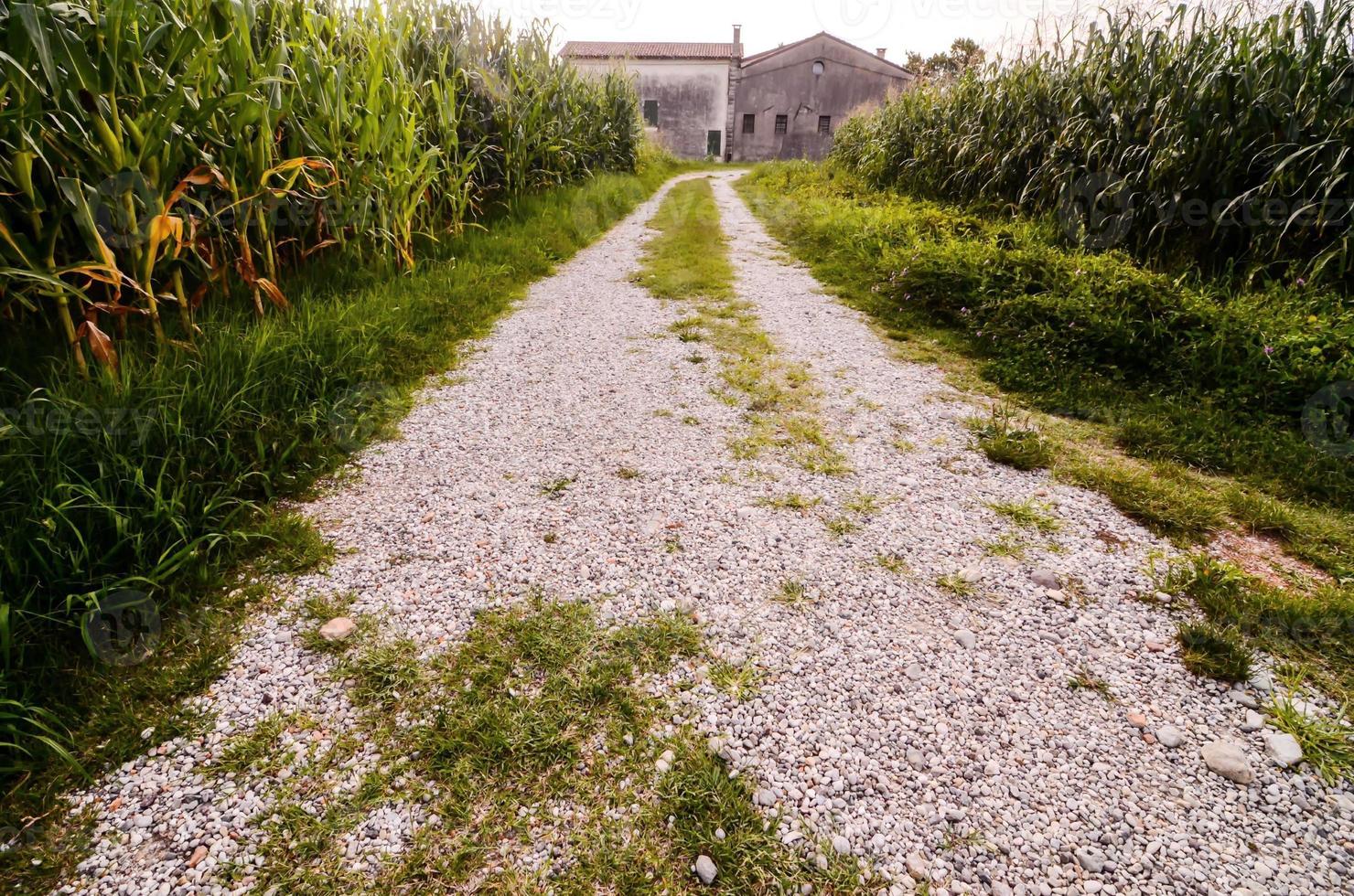 Scenic rural landscape photo