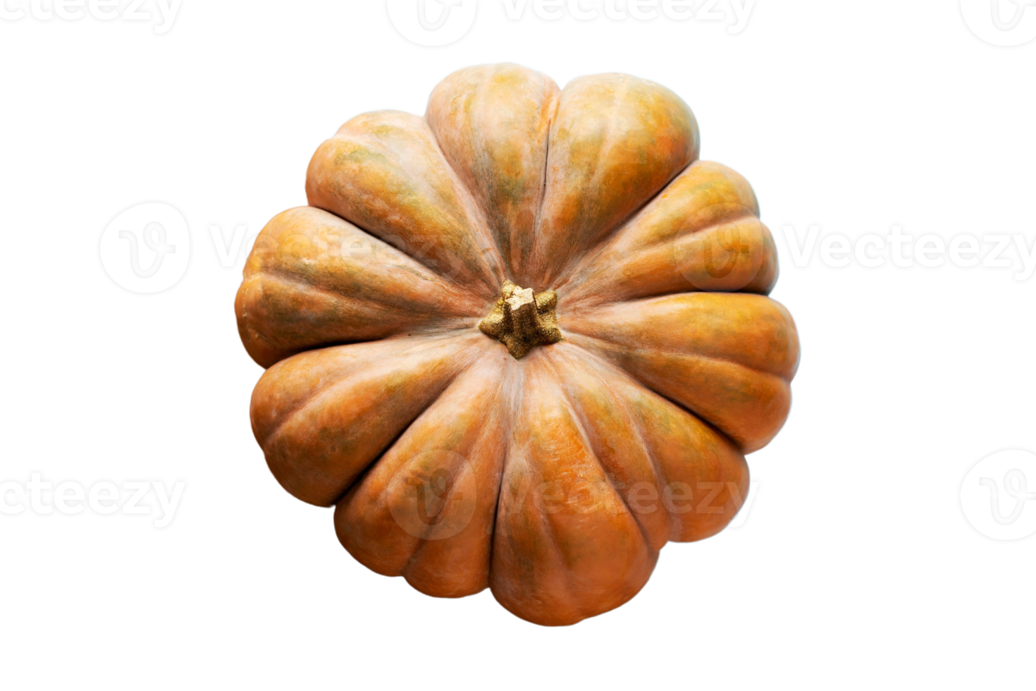 Orange pumpkin isolated on a transparent background png