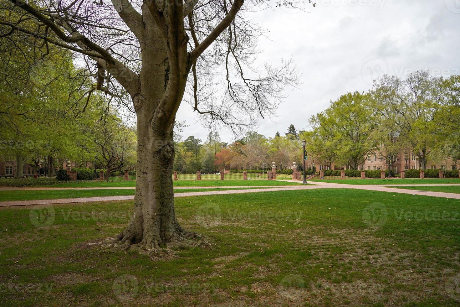 william and mary university chartered in 1693 in Williamsburg. photo