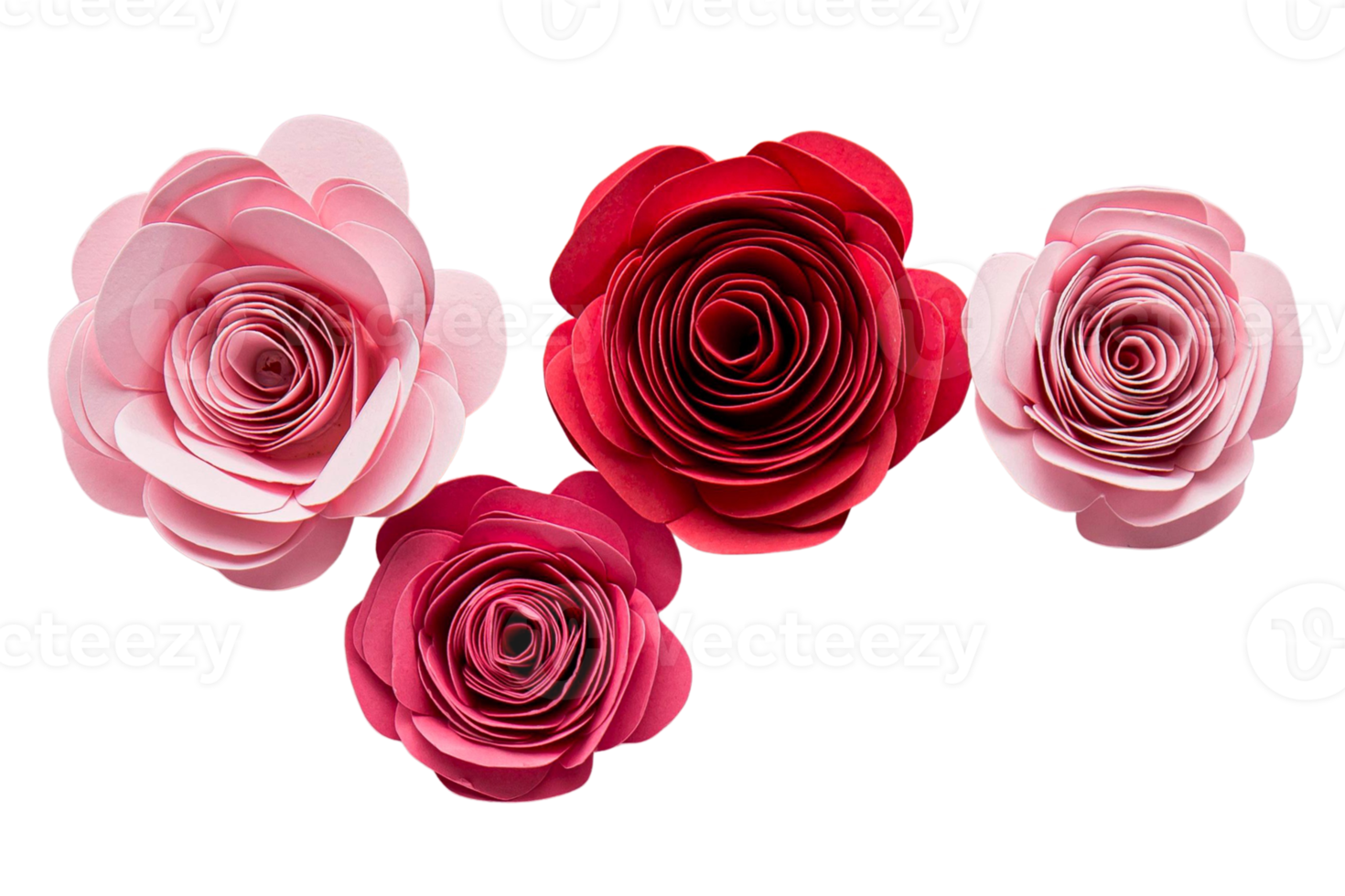 Red flowers isolated on a transparent background png