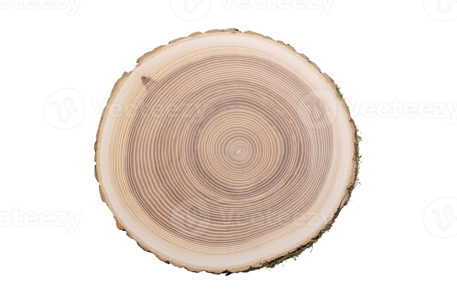 Beige Holz isoliert auf ein transparent Hintergrund png