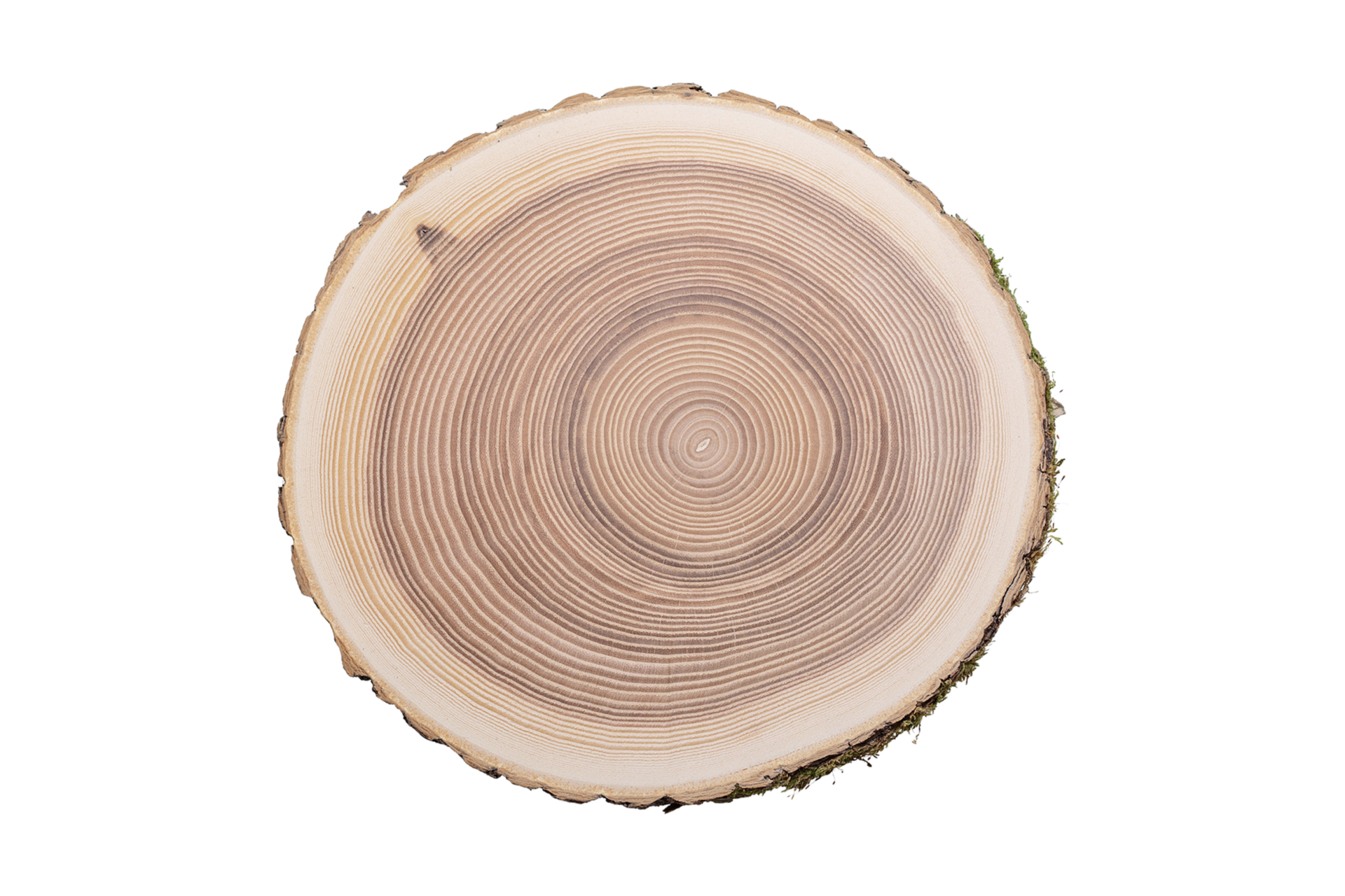 Beige Wood Isolated On A Transparent Background 22697041 Png Beige Wood Isolated On A Transparent Background 22697041 Png