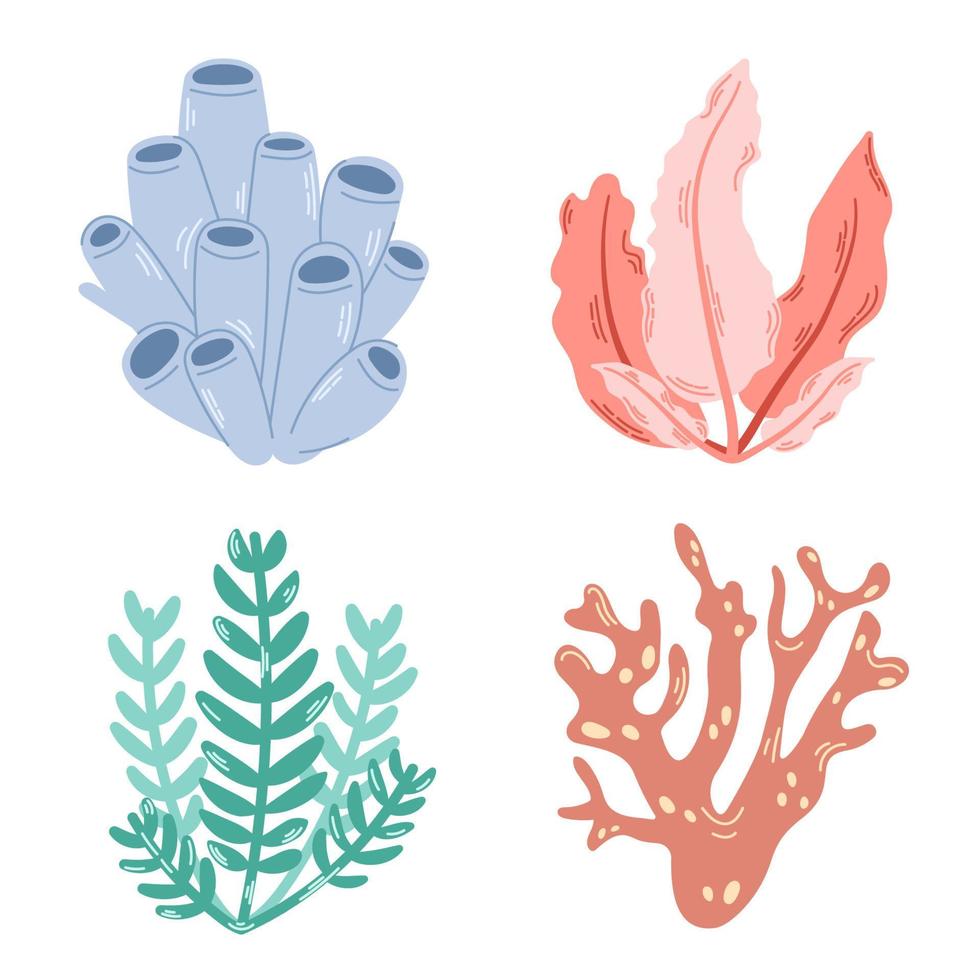 Hand drawn colorful coral and seaweed collection. Modern flat illustration. vector