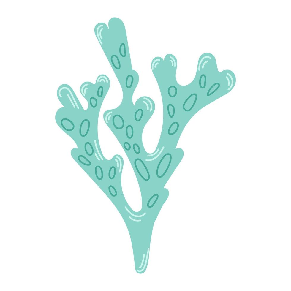 Tropical green corals. Marine underwater plant. Modern hand drawn flat illustration on white background. vector