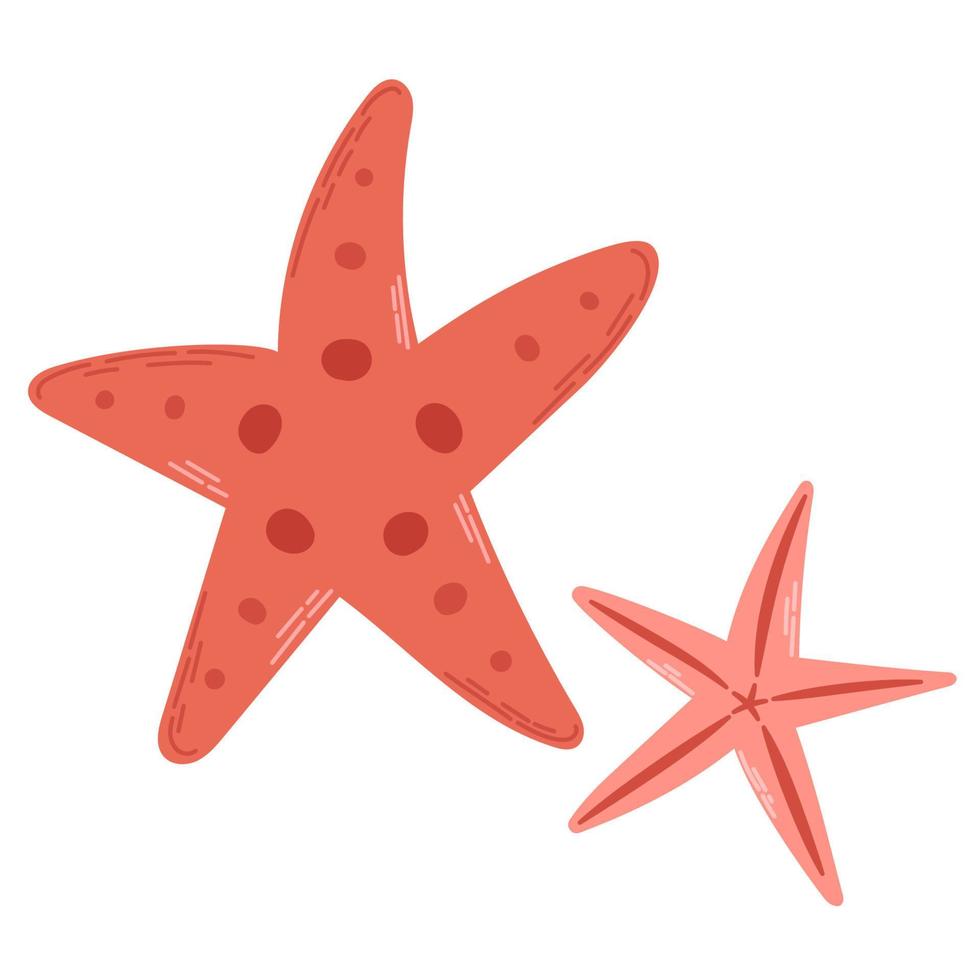 dos coral estrella de mar aislado en blanco antecedentes. moderno plano dibujos animados estilo. vector