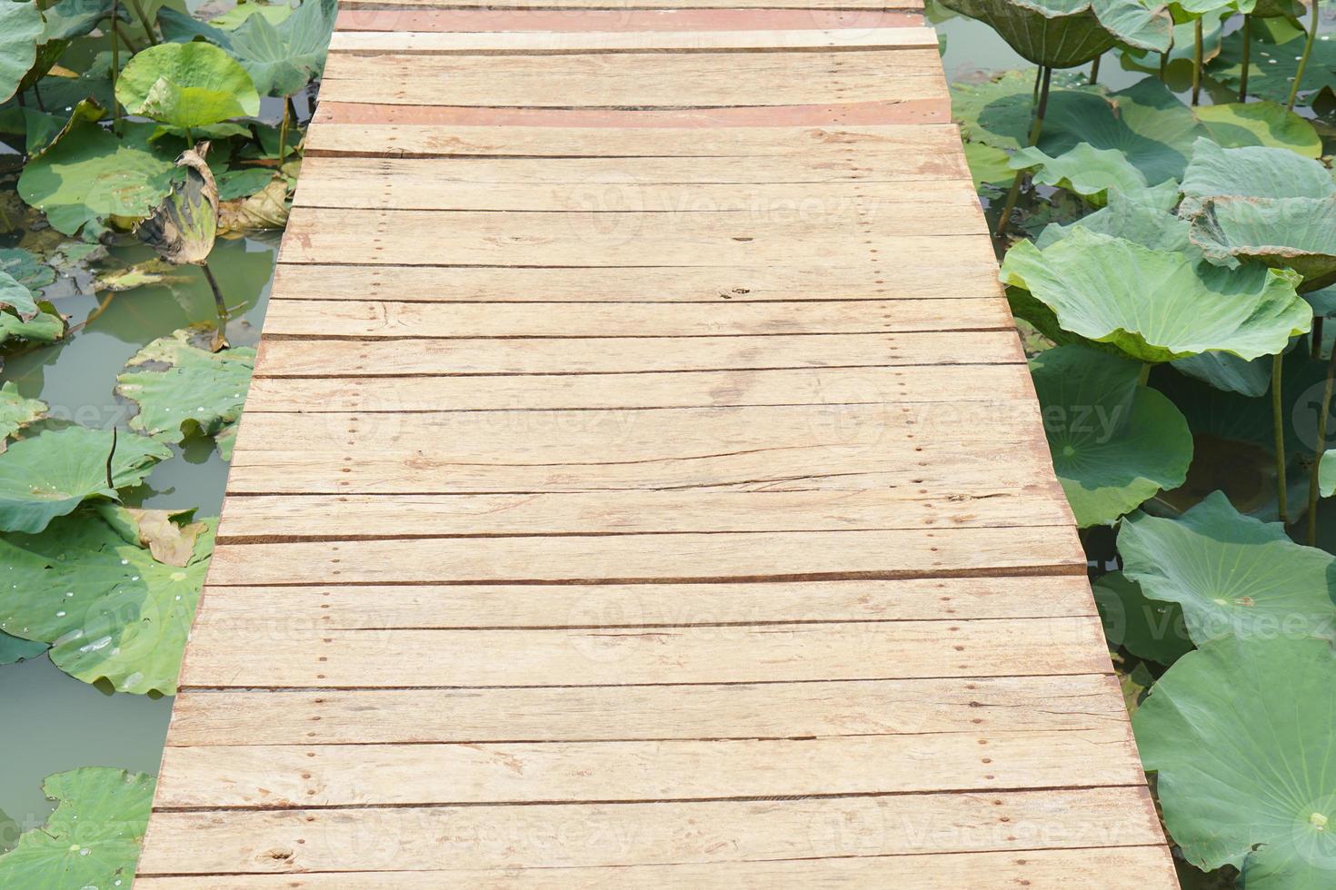 wooden floor walkway in pond photo