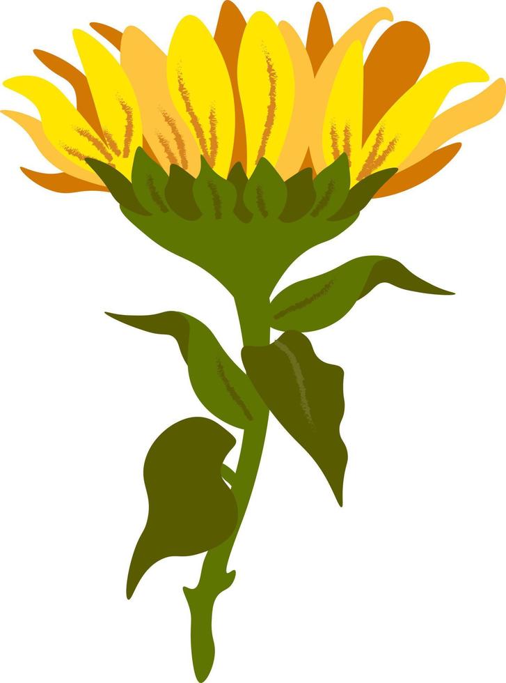 girasol individual elemento vector