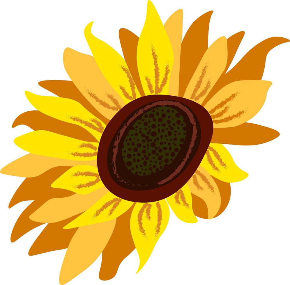 Sunflower individual element vector