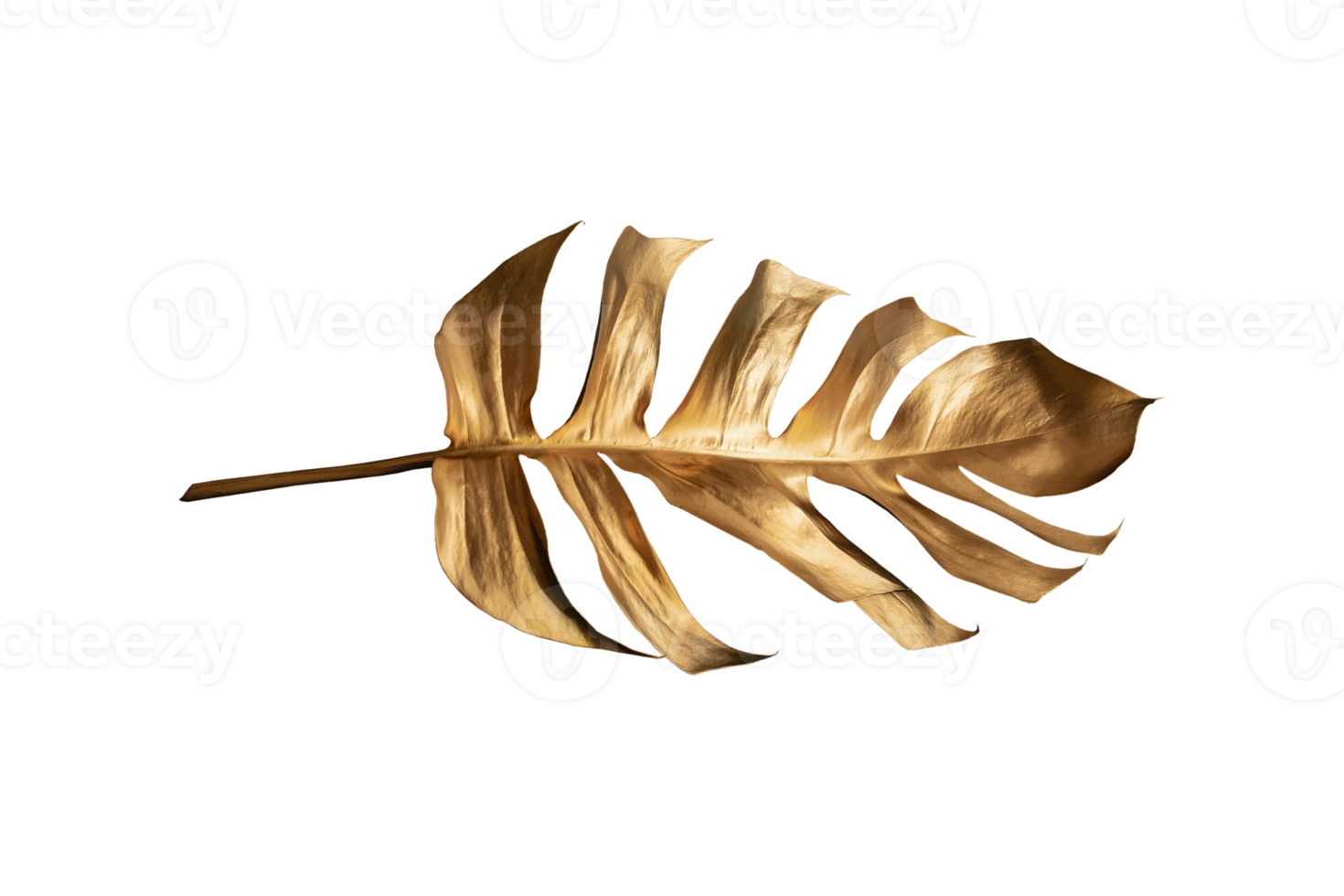 guld blad isolerat på en transparent bakgrund png