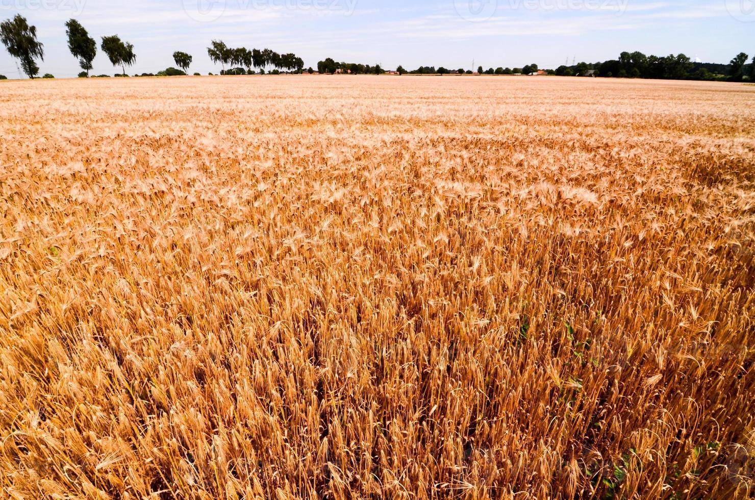 Scenic rural landscape photo