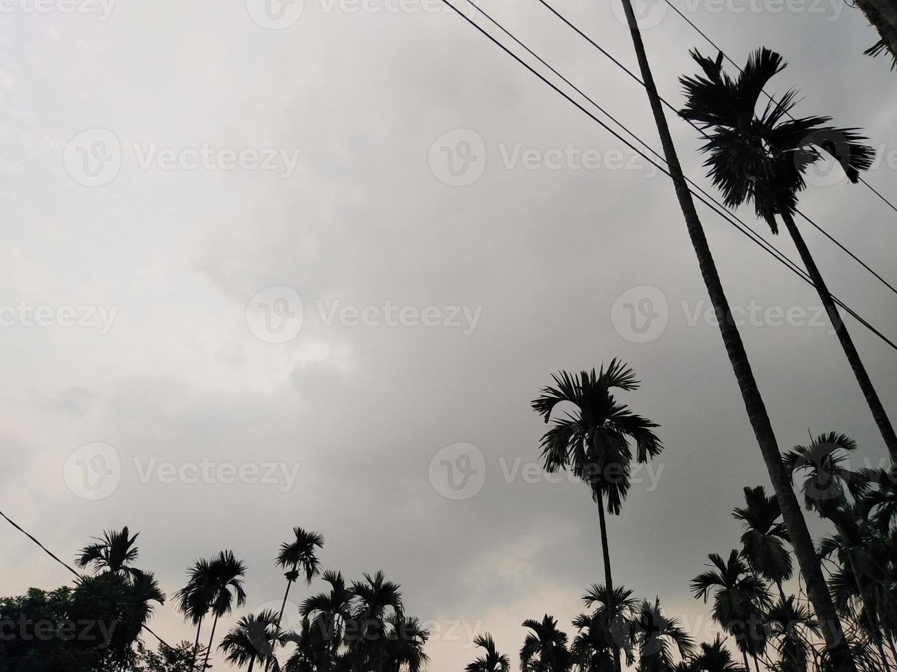 nature photography in outdoor photo