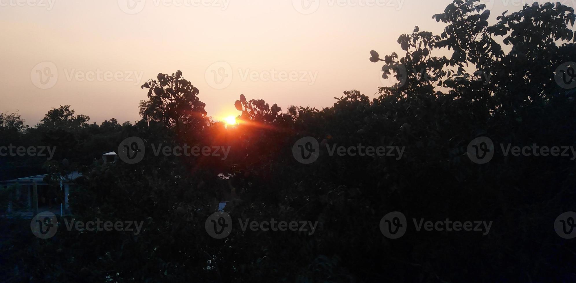 nature photography in outdoor photo