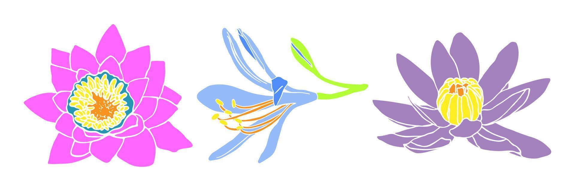 Set of water lily flowers on a white background. Colorful floral outlines in a flat style. Minimalist simple flower design. Floral outlines. Vector illustration.