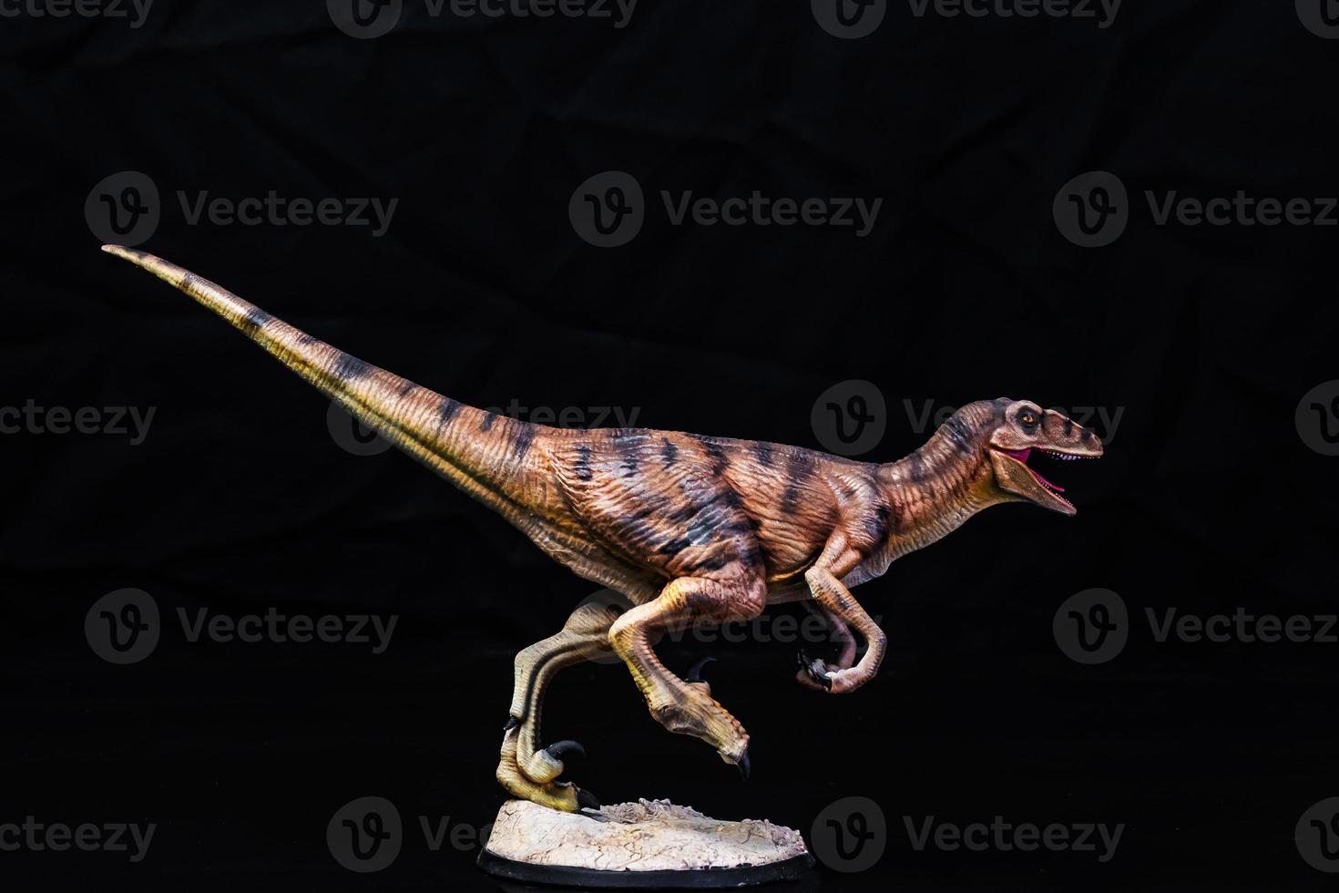 The Velociraptor  dinosaur  in the dark photo