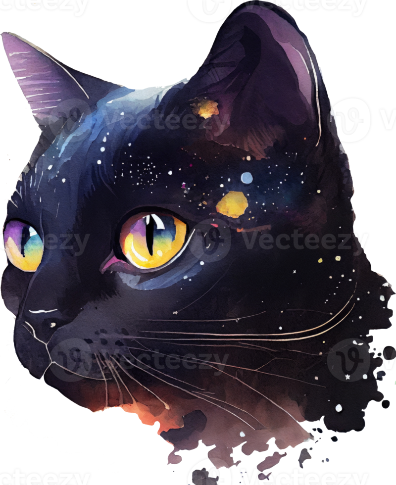 Celestial Black Cat Watercolor png