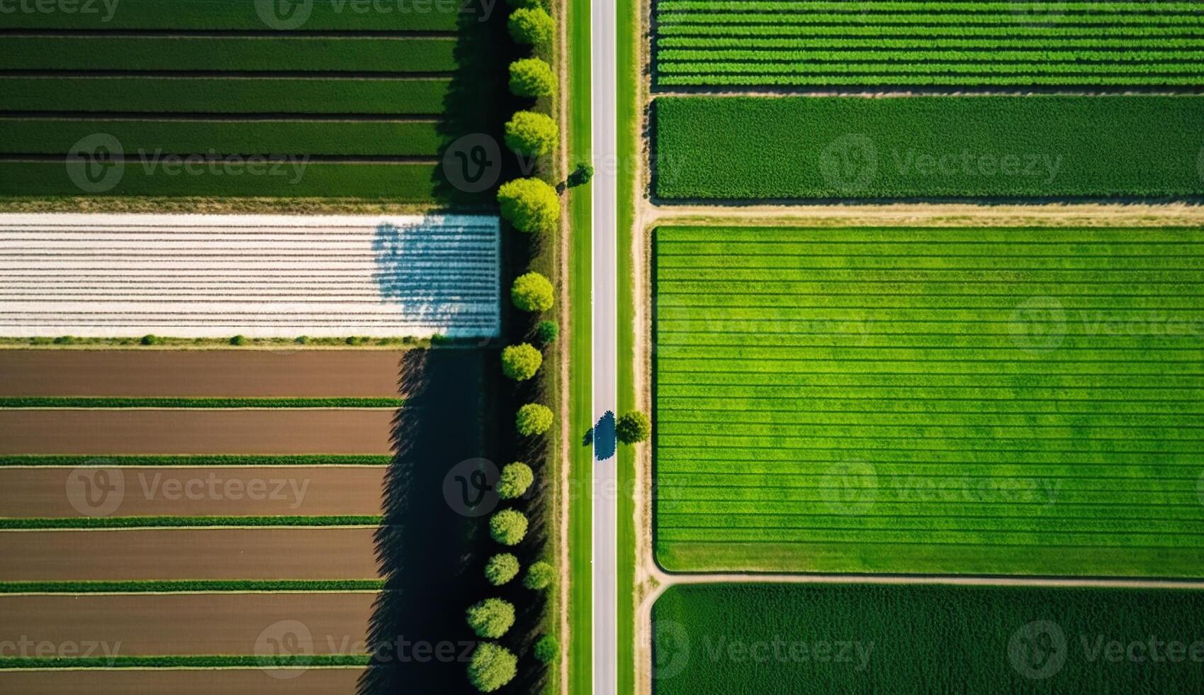 , Farm landscape, agricultural fields, beautiful countryside, country road. Nature Illustration, photorealistic top view drone, horizontal banner. photo