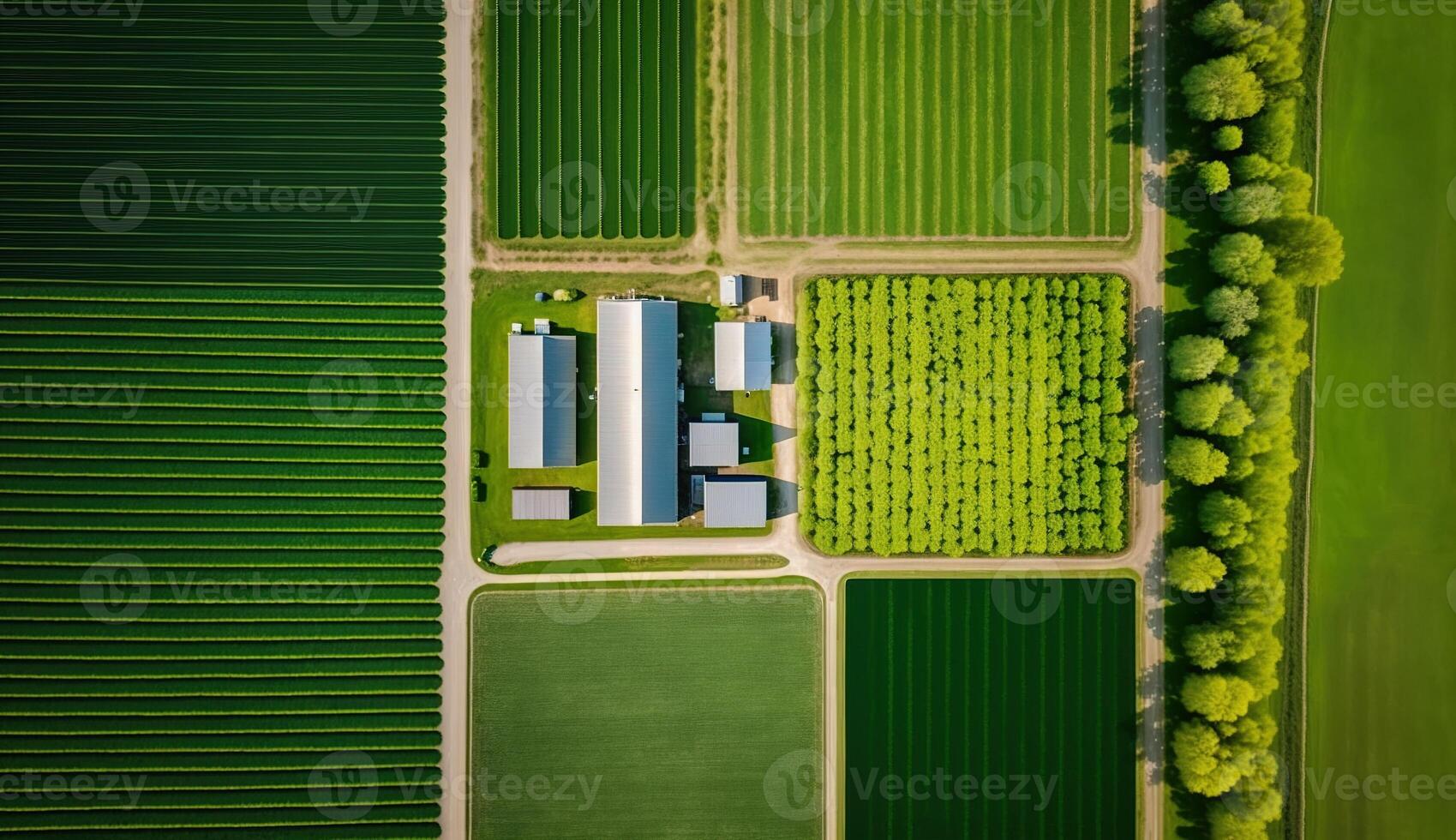 , Farm landscape, agricultural fields, beautiful countryside, country road. Nature Illustration, photorealistic top view drone, horizontal banner. photo